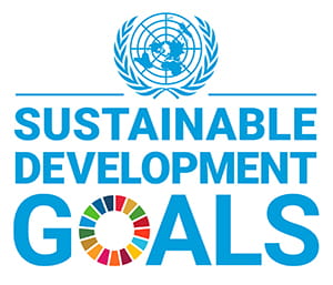 UN Sustainable Development Goals logo